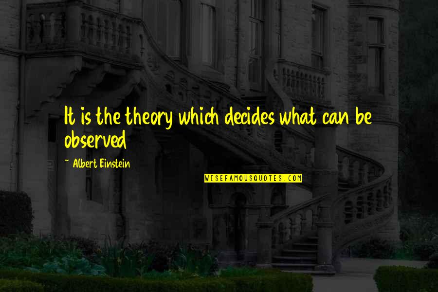 Prince Hal Quotes By Albert Einstein: It is the theory which decides what can