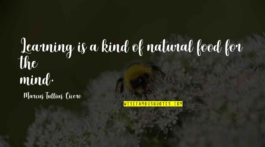 Prince Klemens Wenzel Von Metternich Quotes By Marcus Tullius Cicero: Learning is a kind of natural food for