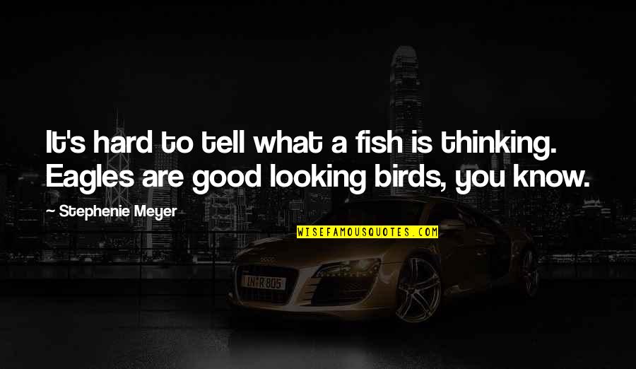 Princesa Valiente Quotes By Stephenie Meyer: It's hard to tell what a fish is