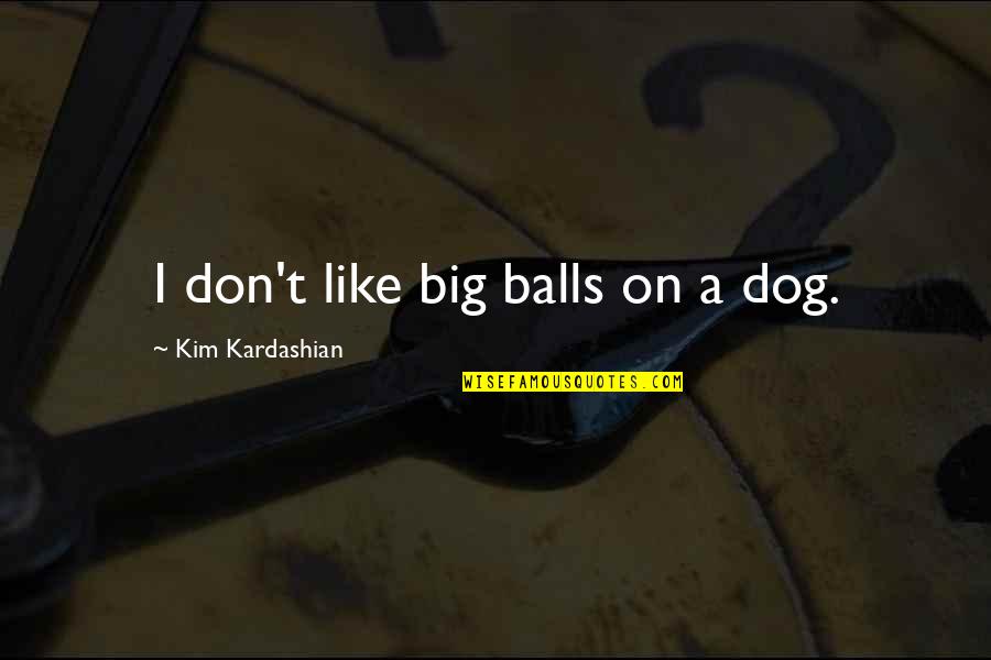 Princess Ariel Quotes By Kim Kardashian: I don't like big balls on a dog.