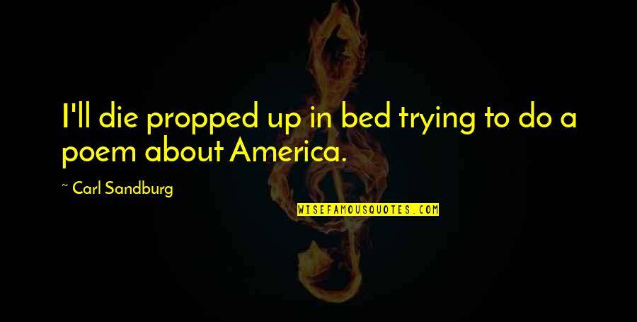 Princess Protection Program Quotes By Carl Sandburg: I'll die propped up in bed trying to Princess Protection Program Quotes By Carl Sandburg: I'll die propped up in bed trying to