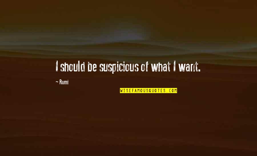 Princess Tagalog Quotes By Rumi: I should be suspicious of what I want.