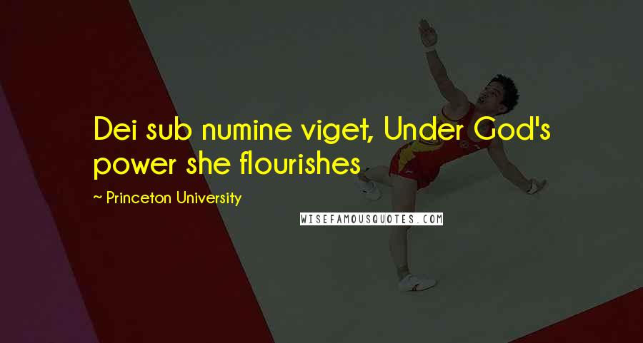 Princeton University quotes: Dei sub numine viget, Under God's power she flourishes