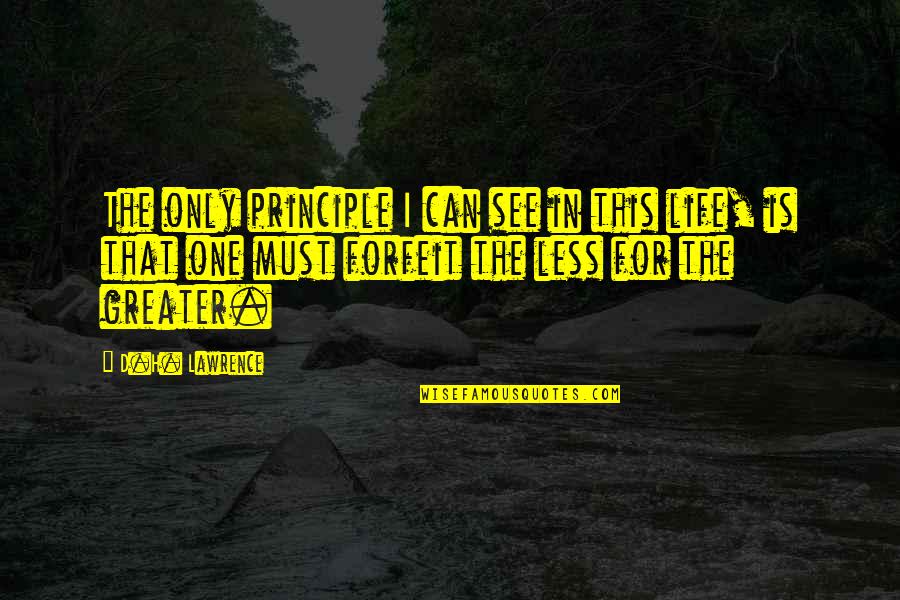 Principle Quotes By D.H. Lawrence: The only principle I can see in this