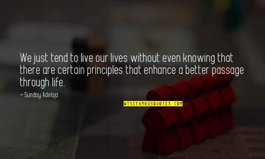 Principles Quotes By Sunday Adelaja: We just tend to live our lives without