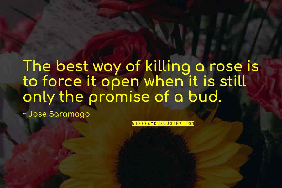 Printf Multiple Quotes By Jose Saramago: The best way of killing a rose is