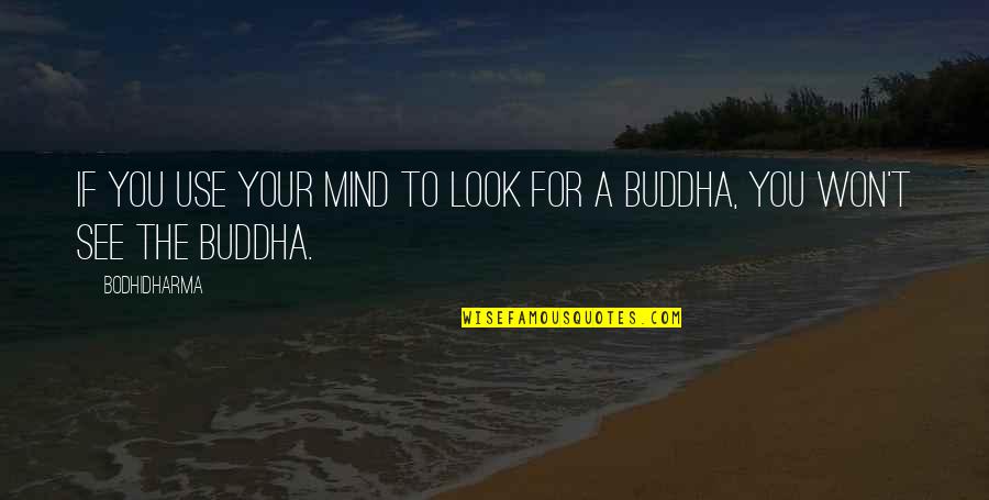 Priolo Louise Quotes By Bodhidharma: If you use your mind to look for