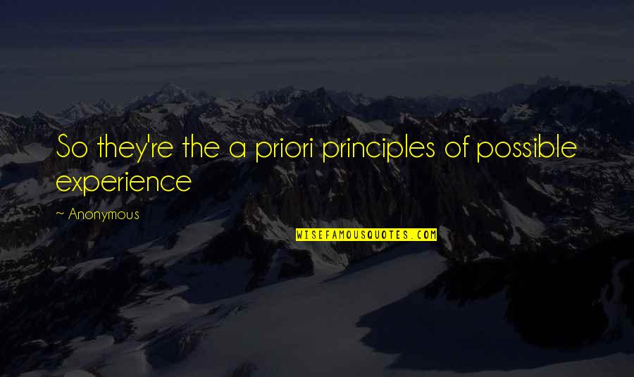 Priori Quotes By Anonymous: So they're the a priori principles of possible