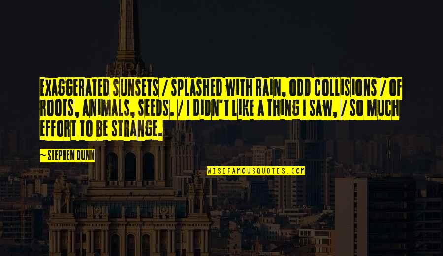 Priorities And Happiness Quotes By Stephen Dunn: Exaggerated sunsets / splashed with rain, odd collisions Priorities And Happiness Quotes By Stephen Dunn: Exaggerated sunsets / splashed with rain, odd collisions