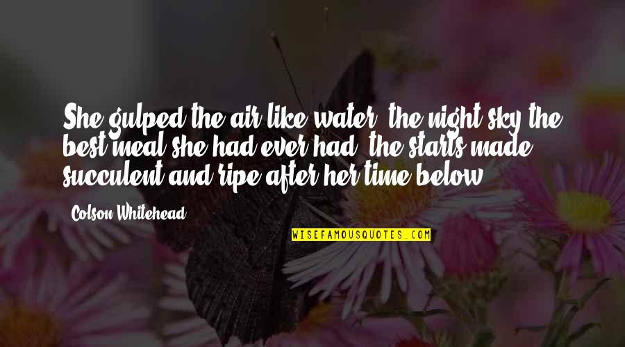 Priroda Slike Quotes By Colson Whitehead: She gulped the air like water, the night Priroda Slike Quotes By Colson Whitehead: She gulped the air like water, the night