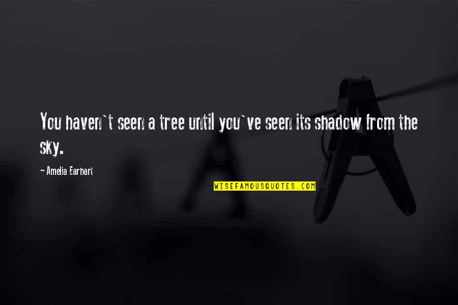 Prirodan Broj Quotes By Amelia Earhart: You haven't seen a tree until you've seen Prirodan Broj Quotes By Amelia Earhart: You haven't seen a tree until you've seen