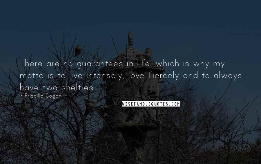 Priscilla Cogan quotes: There are no guarantees in life, which is why my motto is to live intensely, love fiercely and to always have two shelties.