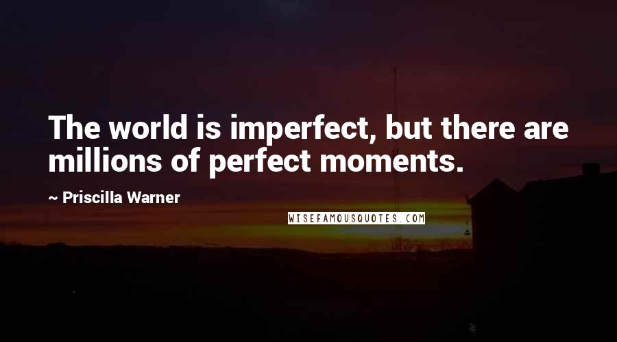 Priscilla Warner quotes: The world is imperfect, but there are millions of perfect moments.