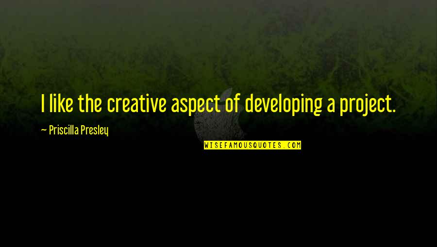 Priscilla's Quotes By Priscilla Presley: I like the creative aspect of developing a