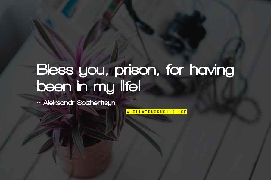 Prison Life Quotes By Aleksandr Solzhenitsyn: Bless you, prison, for having been in my