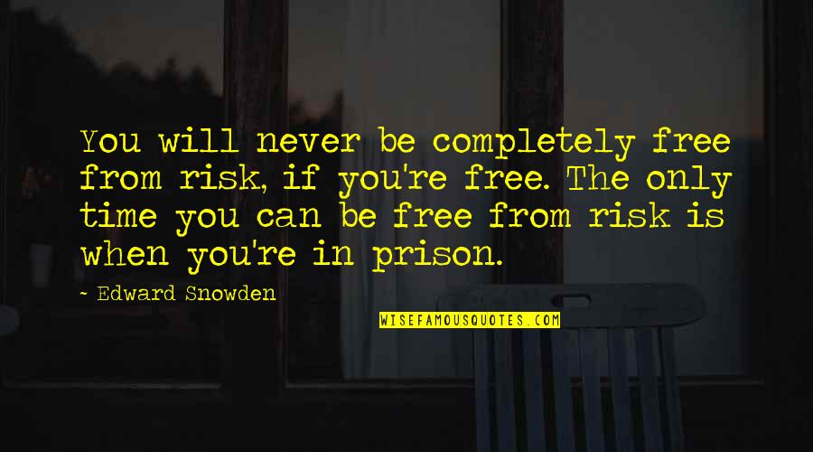 Prison Time Quotes By Edward Snowden: You will never be completely free from risk, Prison Time Quotes By Edward Snowden: You will never be completely free from risk,
