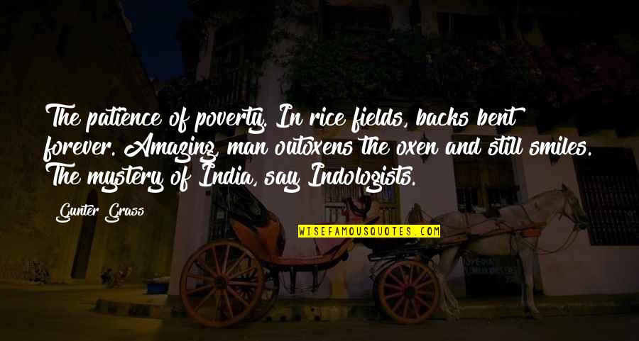 Prisoner B 3087 Quotes By Gunter Grass: The patience of poverty. In rice fields, backs Prisoner B 3087 Quotes By Gunter Grass: The patience of poverty. In rice fields, backs