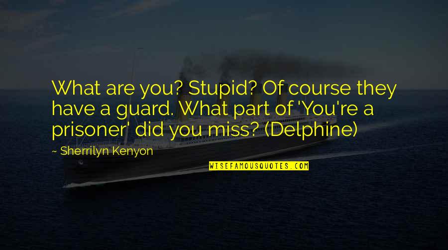 Prisoner B Quotes By Sherrilyn Kenyon: What are you? Stupid? Of course they have