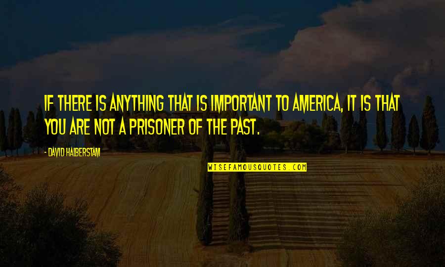 Prisoner Quotes By David Halberstam: If there is anything that is important to Prisoner Quotes By David Halberstam: If there is anything that is important to
