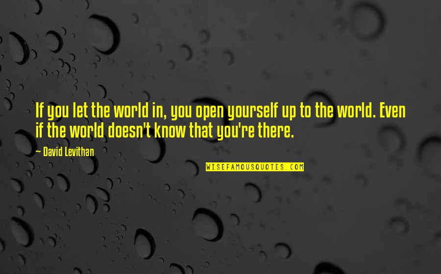 Prissiness Quotes By David Levithan: If you let the world in, you open