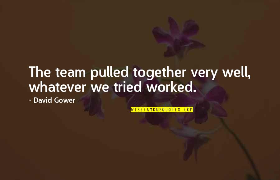 Pristavanie Quotes By David Gower: The team pulled together very well, whatever we