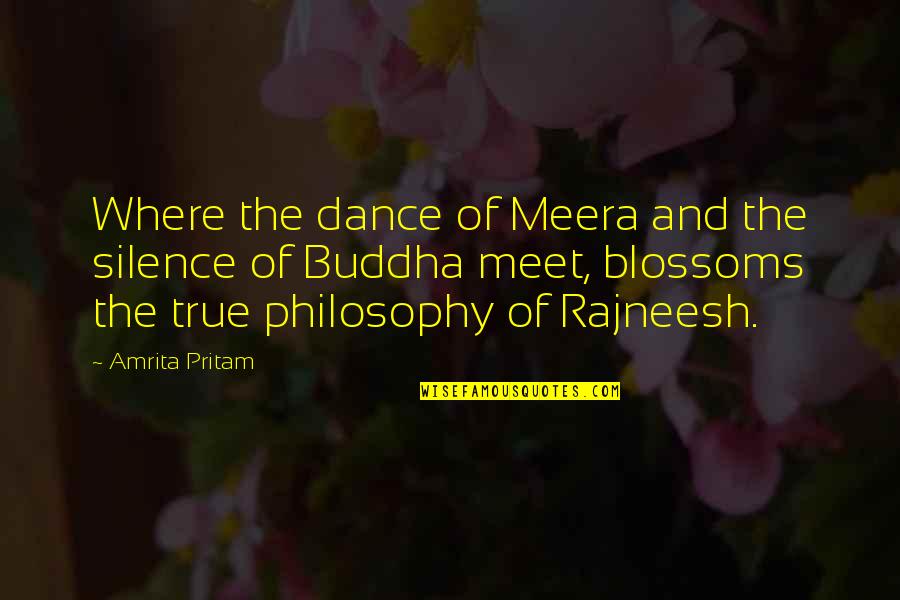 Pritam Quotes By Amrita Pritam: Where the dance of Meera and the silence