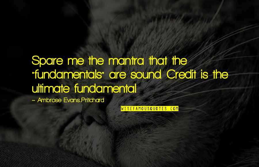 Pritchard's Quotes By Ambrose Evans-Pritchard: Spare me the mantra that the "fundamentals" are