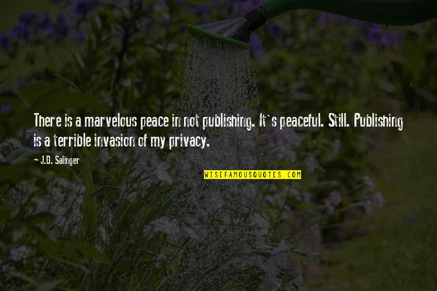 Privacy Invasion Quotes By J.D. Salinger: There is a marvelous peace in not publishing.
