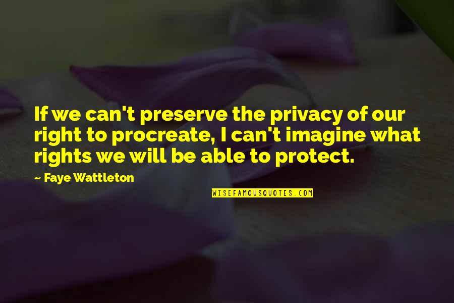 Privacy Rights Quotes By Faye Wattleton: If we can't preserve the privacy of our