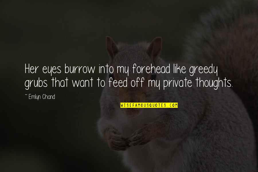 Private Eyes Quotes By Emlyn Chand: Her eyes burrow into my forehead like greedy Private Eyes Quotes By Emlyn Chand: Her eyes burrow into my forehead like greedy