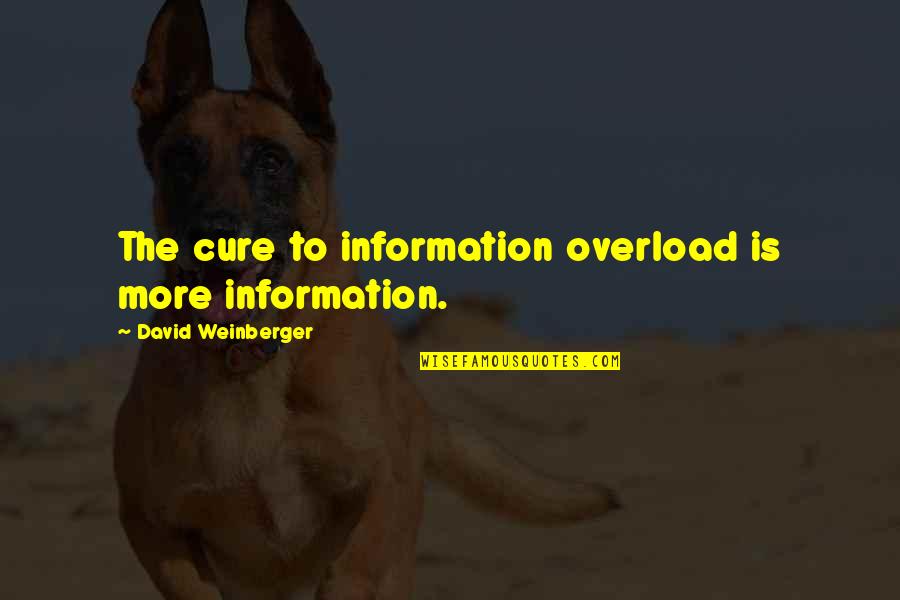 Private Investigating Quotes By David Weinberger: The cure to information overload is more information.