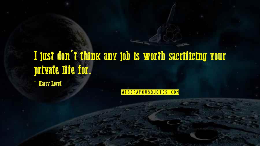 Private Life Private Quotes By Harry Lloyd: I just don't think any job is worth