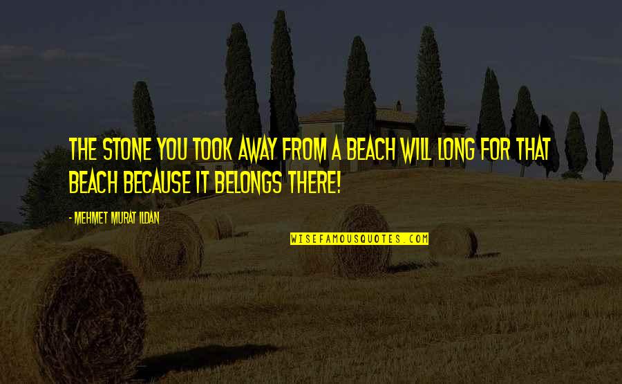 Private Practice Quotes By Mehmet Murat Ildan: The stone you took away from a beach