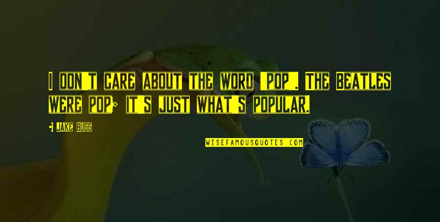 Private Victory Quotes By Jake Bugg: I don't care about the word 'pop'. The