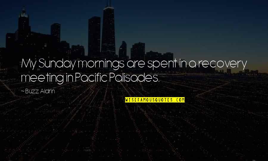 Prividno Sinonimi Quotes By Buzz Aldrin: My Sunday mornings are spent in a recovery