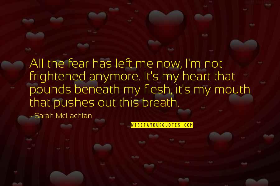 Privire Glaciara Quotes By Sarah McLachlan: All the fear has left me now, I'm Privire Glaciara Quotes By Sarah McLachlan: All the fear has left me now, I'm