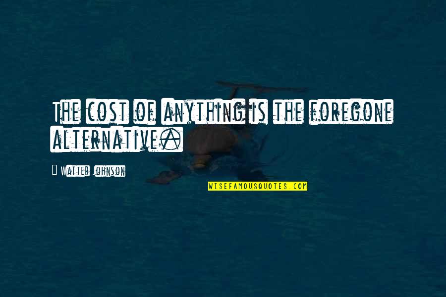 Pro 2a Quotes By Walter Johnson: The cost of anything is the foregone alternative.