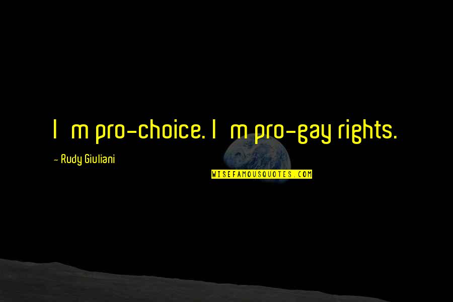 Pro Choice Quotes By Rudy Giuliani: I'm pro-choice. I'm pro-gay rights.