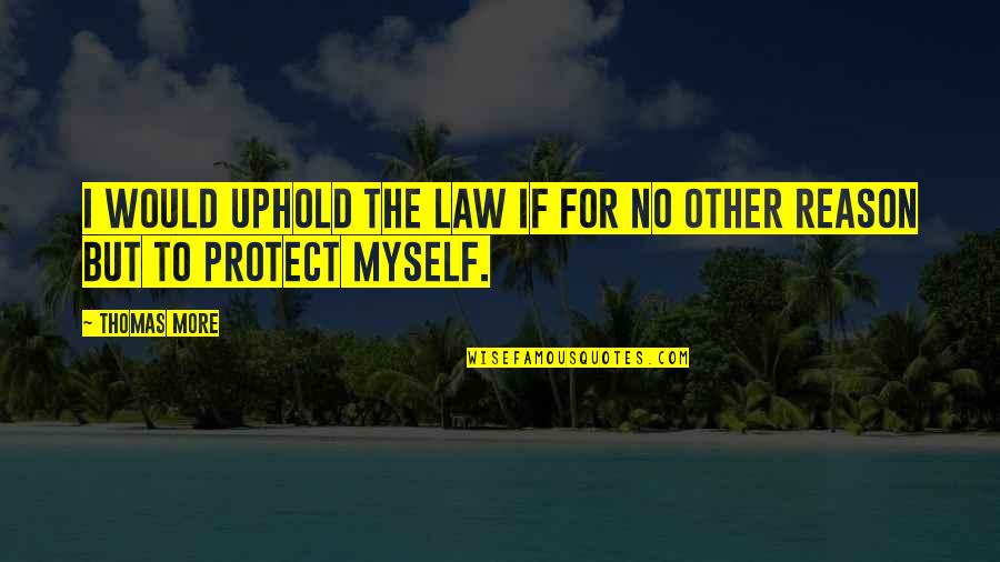 Pro Sl Quotes By Thomas More: I would uphold the law if for no