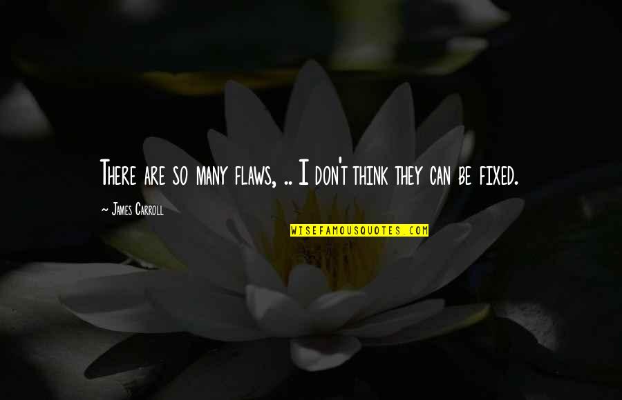 Pro24 Quotes By James Carroll: There are so many flaws, .. I don't Pro24 Quotes By James Carroll: There are so many flaws, .. I don't