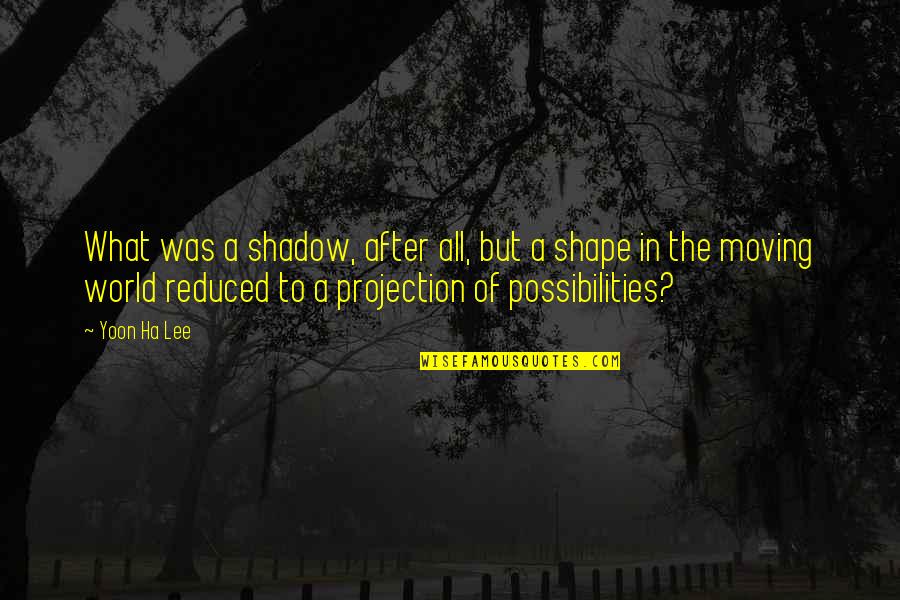 Probability Quotes By Yoon Ha Lee: What was a shadow, after all, but a