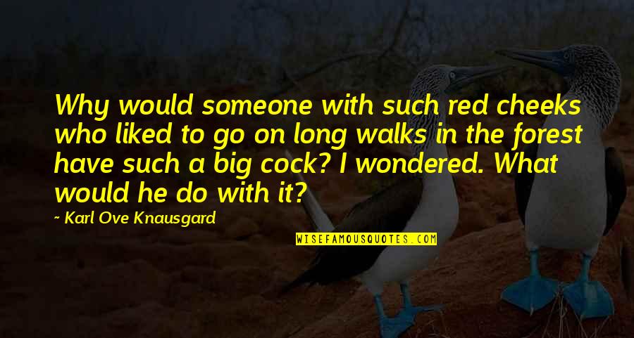 Probert Hockey Quotes By Karl Ove Knausgard: Why would someone with such red cheeks who