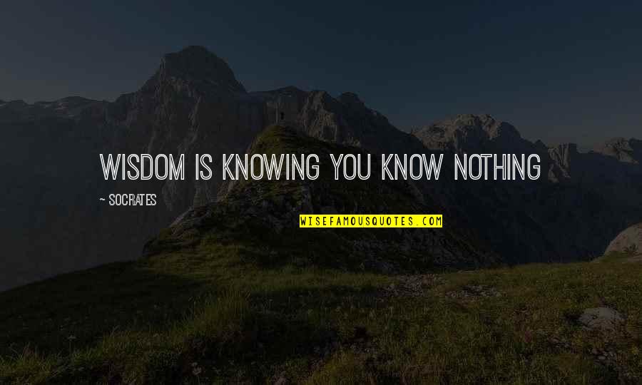 Problem Of Induction Quotes By Socrates: Wisdom is knowing you know nothing