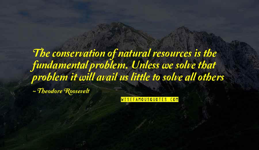 Problem Solve Quotes By Theodore Roosevelt: The conservation of natural resources is the fundamental