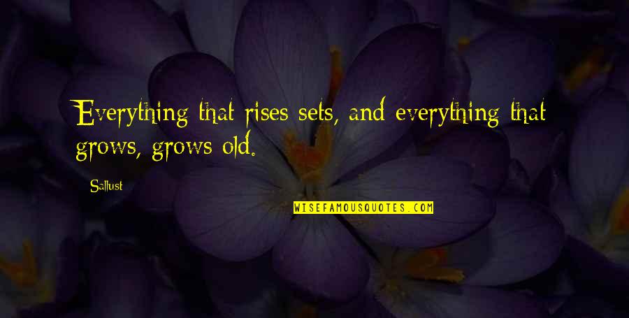 Problem Solving Quote Quotes By Sallust: Everything that rises sets, and everything that grows,