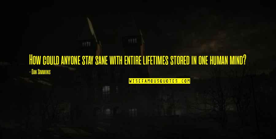 Problem Statements Quotes By Dan Simmons: How could anyone stay sane with entire lifetimes