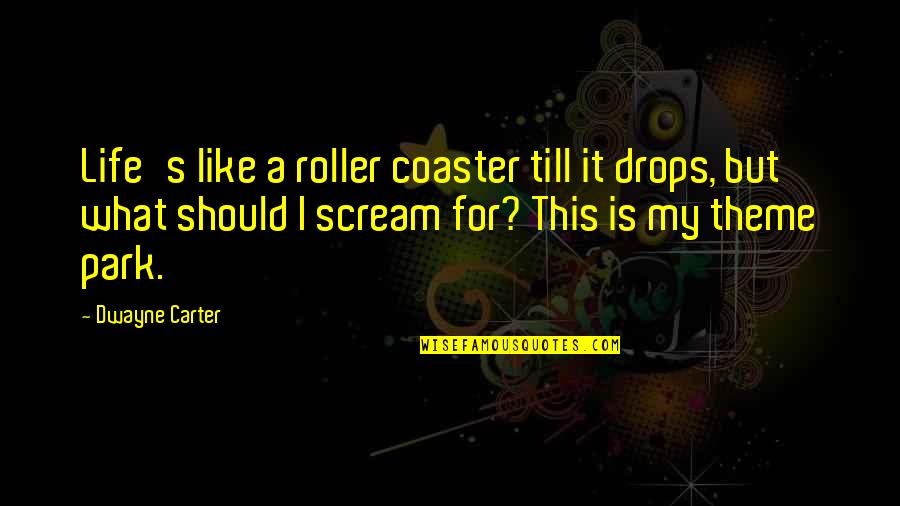Problemist Quotes By Dwayne Carter: Life's like a roller coaster till it drops, Problemist Quotes By Dwayne Carter: Life's like a roller coaster till it drops,