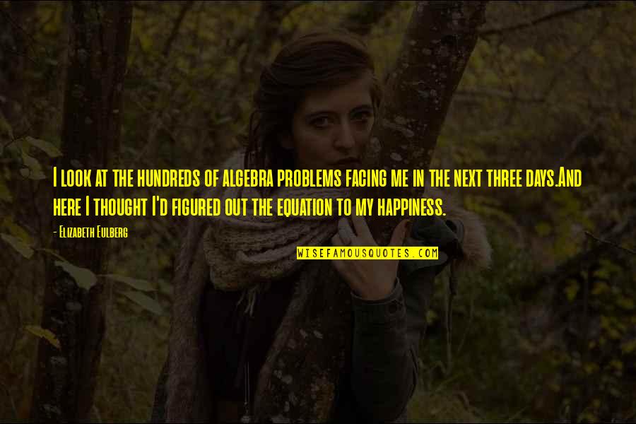 Problems And Happiness Quotes By Elizabeth Eulberg: I look at the hundreds of algebra problems