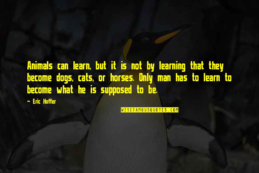 Procentu Skaiciavimo Quotes By Eric Hoffer: Animals can learn, but it is not by Procentu Skaiciavimo Quotes By Eric Hoffer: Animals can learn, but it is not by
