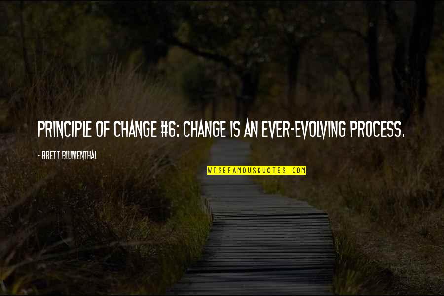 Process Change Quotes By Brett Blumenthal: Principle of Change #6: Change is an ever-evolving